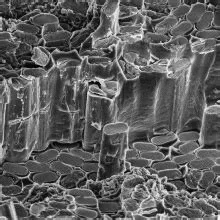  Matrixmaterialwonder: Metallmatrix-Verbundwerkstoffe für Hochleistungsanwendungen!